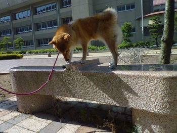 何してる？