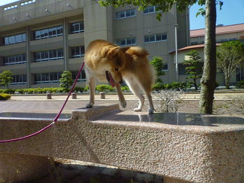 何してる？