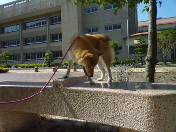 何してる？