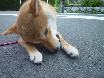 石