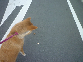 石