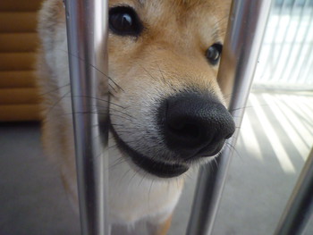 外のサークル