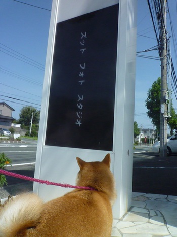 ZUTTO PHOTO STUDIO（ズットフォトスタジオ）さんで名刺作り