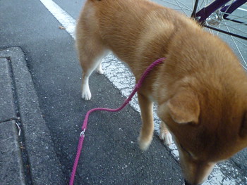 寒いと・・・。。