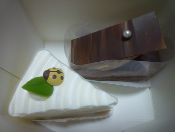 ガス展
