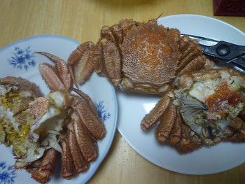 蟹～ヽ(｡・｀ω´･)ﾉ
