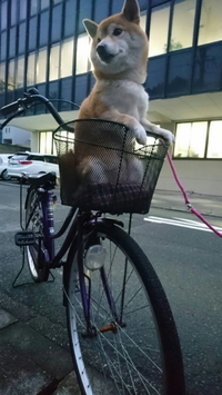 自転車が好き♪ 2017/12/08 18:12:00