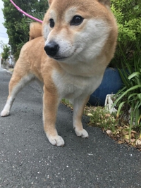 今日はPTA総会♪ 2018/04/20 10:00:00