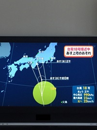 車が冠水し動かない場合