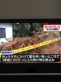車が冠水し動かない場合