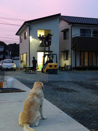 引っ越し 2013/08/21 18:31:33