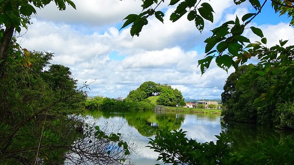 朝の散歩京徳池を一周