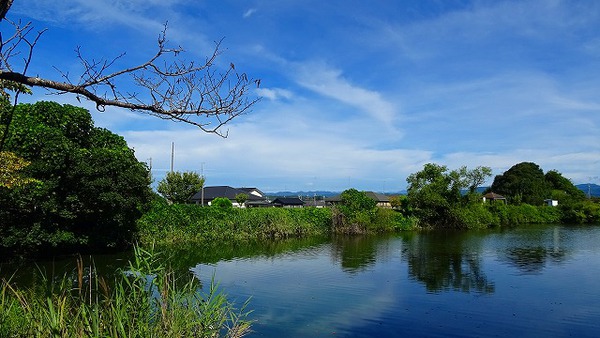 朝の散歩京徳池を一周