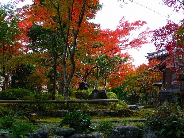 法泉寺温泉の紅葉（2）