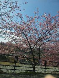 ∞今日から３月START∞ 2013/03/01 09:14:57