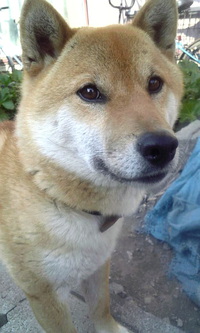 つ、ついに!! 2013/06/28 14:43:06
