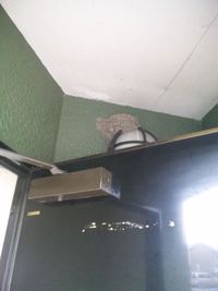∞当店のドアの開け閉めは静かに∞ 2013/06/13 17:24:28