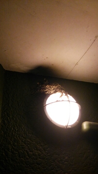 ∞ツバメの様子∞ 2013/06/30 22:24:00