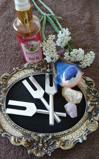 メニュー作り