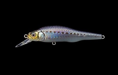 シーバス界の超定番ルアー入荷～