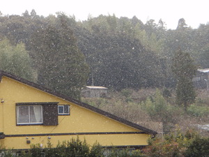 雪