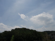 夏雲