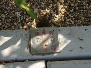 大事です。