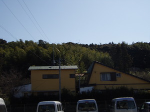 晴れるだけで