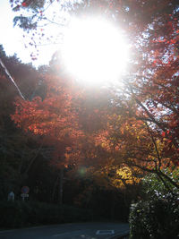晩秋の古都