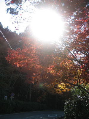 晩秋の古都