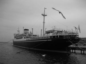 横浜・横須賀