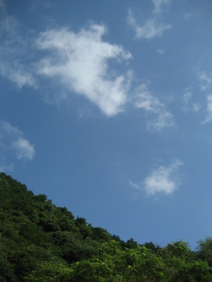 晴れたら。