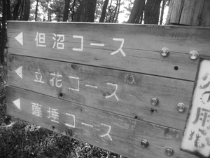 本日は定休日
