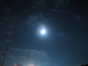 from　America