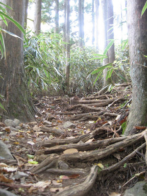 燃える山々・・・