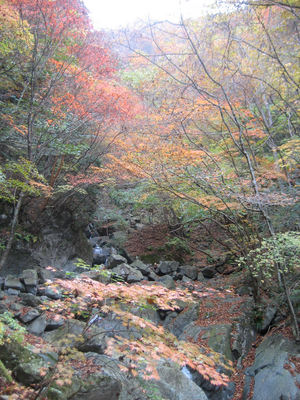 燃える山々・・・