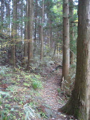 燃える山々・・・