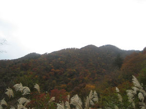 燃える山々・・・