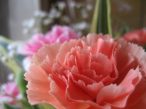 mam・・・