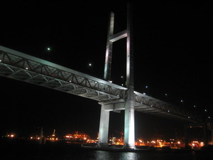 2009年