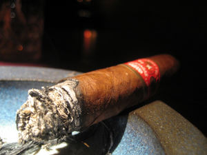 last　night　cigar