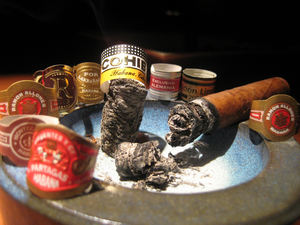 Cigar  Lovers