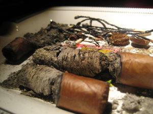 Cigar  Lovers