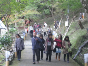 京都へ行って来ました。
