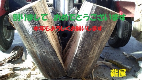 迎春