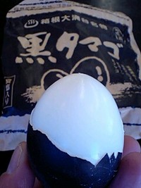 大涌谷に地域猫？