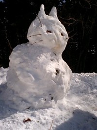 ねこほかく♪大作戦