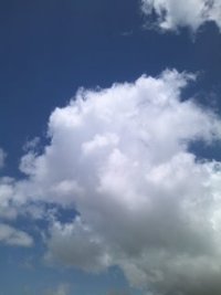 満員御礼！からだをうごかそう！締め切ります。