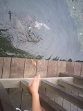 まったり