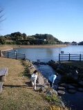 のんびり 2008/11/23 15:04:51